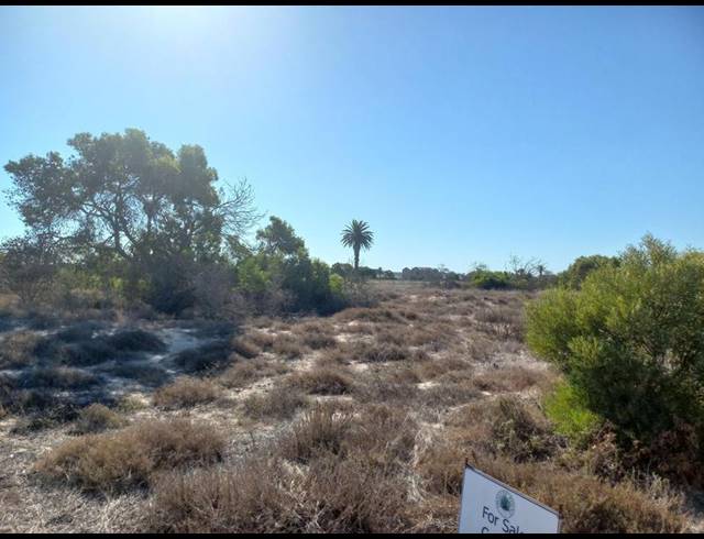 LAND FOR SALE IN SHELLEY POINT